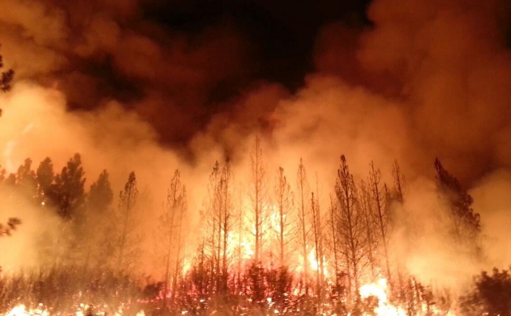 A leafless forest in flames in the Stranislaus National Forest.